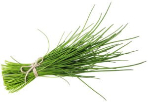 Ciboulette Paquete 20 g