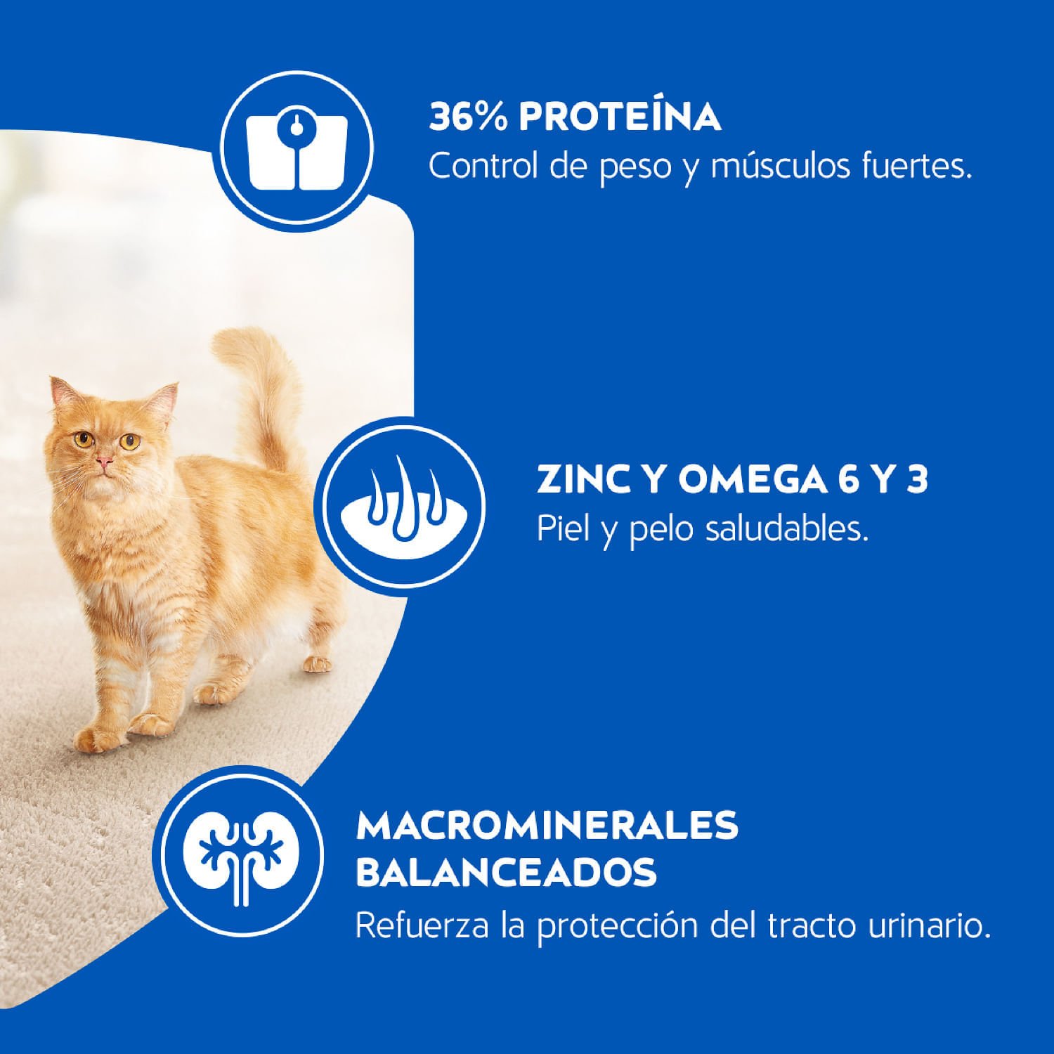 Alimento Gato Adulto Cat Chow Esterilizados Defense Plus 8 kg - Image 5