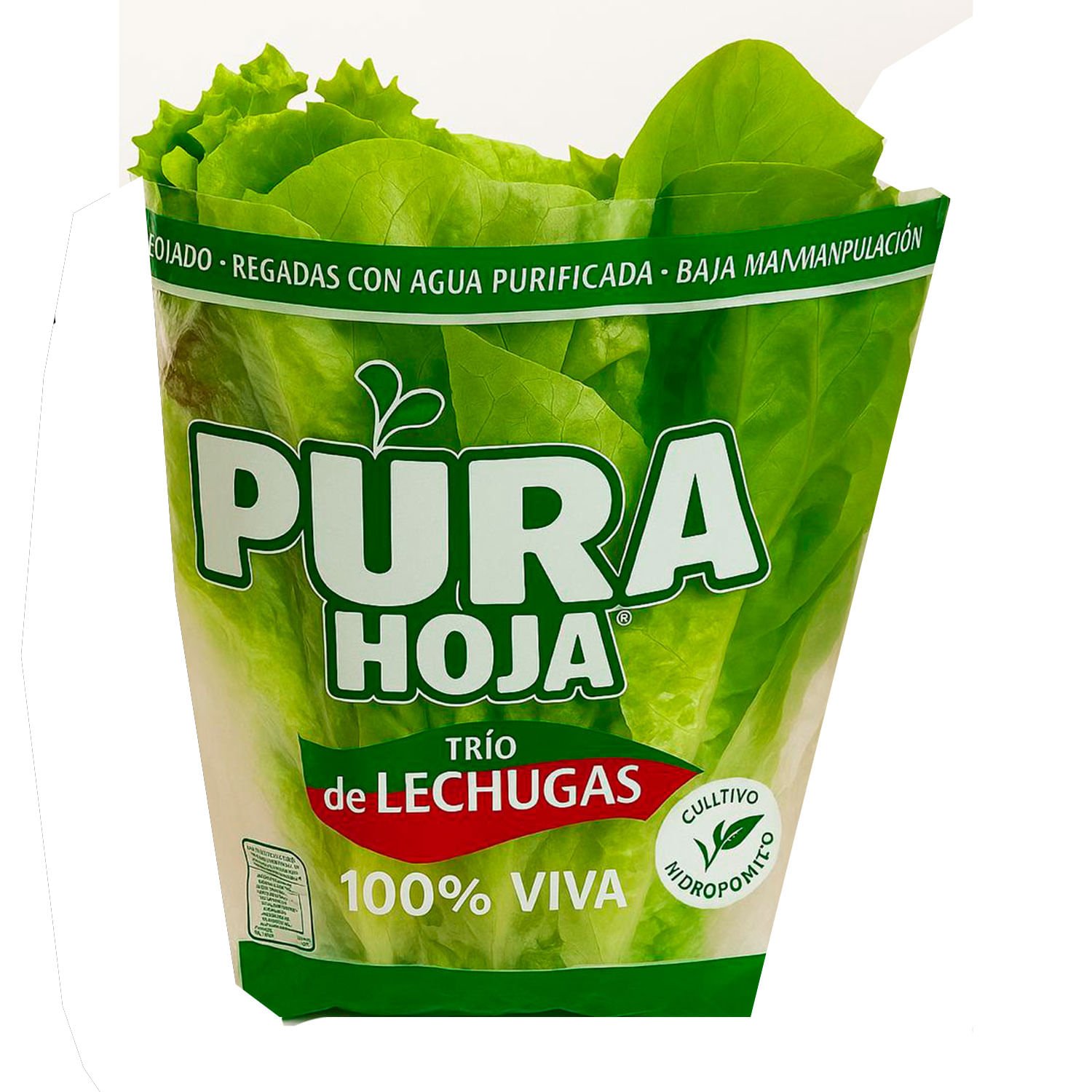 Trio de Lechugas Hidropónicas Pura Hoja 1 un.